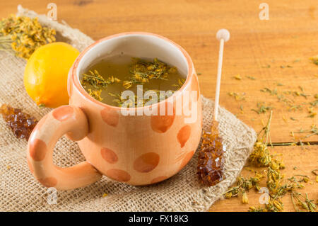 St Johns Johanniskraut Tee und umgeben von getrockneten Kantarion Pflanzen Stockfoto