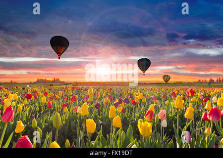 Heißluftballons abheben am hölzernen Schuhs Tulpenfestival während der Dämmerung Stockfoto