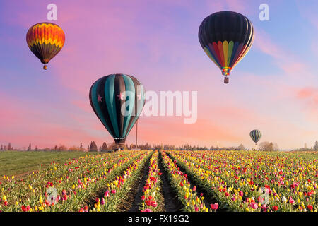 Heißluftballons abheben auf Tulpenfelder bei Tulpenfest in Woodburn Oregon bei Sonnenaufgang Stockfoto
