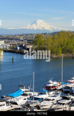 Mount Rainier von Marina Tacoma im US-Bundesstaat Washington an einem strahlend blauen Himmel-Tag Stockfoto