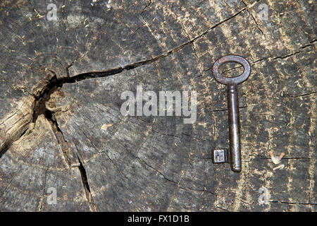 Ein Alter Schlüssel präsentiert auf einem Baumstumpf Stockfoto