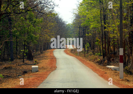 kurvige Straßen an der Yellapur Bankapur Straße. Karnataka. Stockfoto