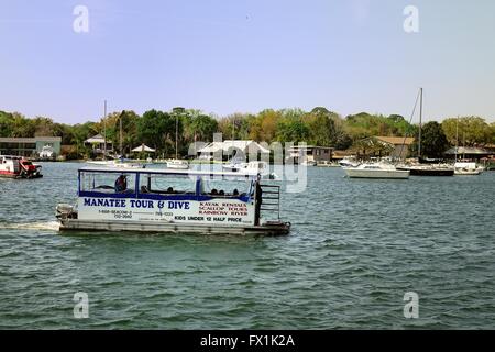 Ausflugsboot (Manatee Tour & Tauchgang) Cruisen durch Kings Bay, Crystal River, Florida Stockfoto