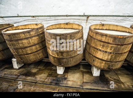 Hölzerne offene Gärung Fässer in den historischen Kellern des Pilsner Urquell Brauerei in der Stadt Pilsen, Tschechische Republik Stockfoto