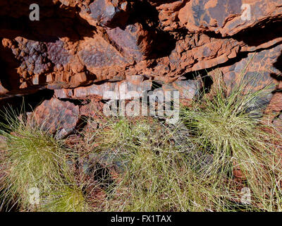 Eisenerz-reich an Hämatit - australisches Outback Stockfoto