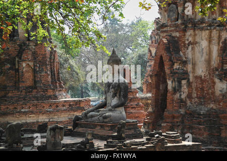 Wat Mahatat in der Nähe von Ayutthaya - Thailand Stockfoto