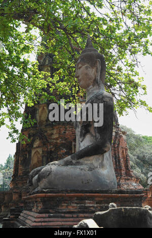 Wat Mahatat in der Nähe von Ayutthaya - Thailand Stockfoto