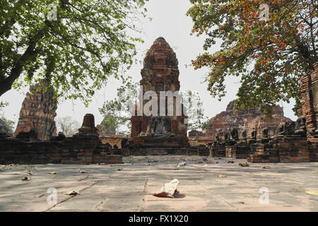 Wat Mahatat in der Nähe von Ayutthaya - Thailand Stockfoto