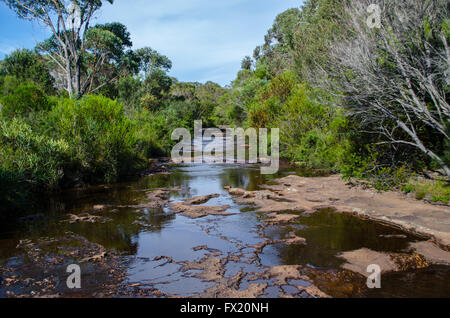 Macht verrückt Creek Dharawal Nature Reserve Darkes Wald NSW Australia Stockfoto