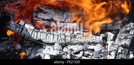 Feuer auf heiße live Holzkohle extreme Nahaufnahme Foto Stockfoto