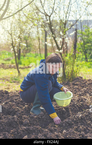 Frau seeding Zwiebeln in Bio-Gemüsegarten, junge Erwachsene weibliche Pflanzen Samen in den Ackerboden. Stockfoto