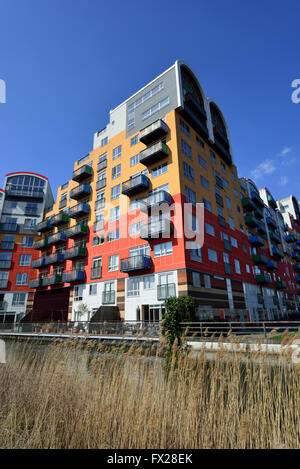 Greenwich Millennium Village, Greenwich Halbinsel, SE10 London, Vereinigtes Königreich Stockfoto