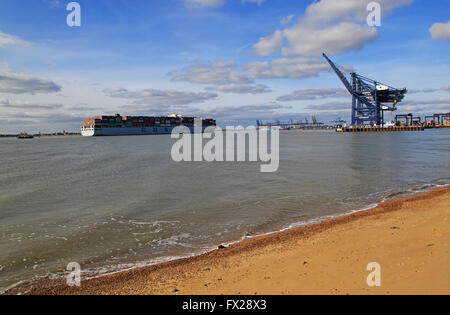 COSCO shipping Line-Containerschiff Ankunft am Hafen von Felixstowe, Suffolk, England, UK Stockfoto