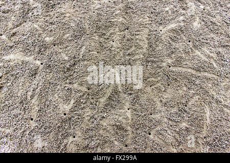 Sand Tabletten gebildet durch Sand Bubbler Crabs decken einen Strand bei Ebbe in den Tropen. Flache lag in der Natur. Stockfoto