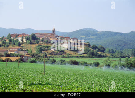 Anbau Feld und Überblick über das Dorf. Peñacerrada, Provinz Alava, Baskisches Land, Spanien. Stockfoto