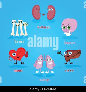 Anatomische Vitalorgane Cartoon Figuren Set Collection Stock Vektor