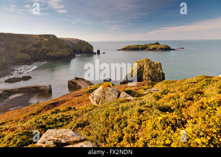 Ein Winter-Sonnenaufgang im Mullion Cove auf der Halbinsel Lizard, Cornwall, England, UK Stockfoto