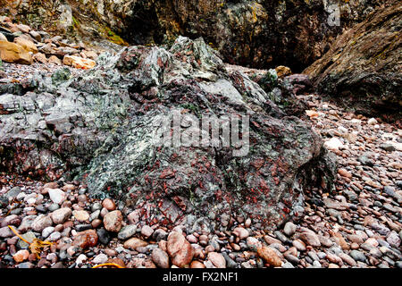 Seltenen Aufschlüssen von Serpentingestein am Strand von Kynance Cove auf der Halbinsel Lizard, Cornwall, England, UK Stockfoto