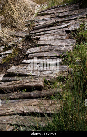 Neugestaltung der Rundhäuser, Einbaum und Sweet Track von der Eisenzeit, Glastonbury Lake Village, Somerset, UK. Stockfoto