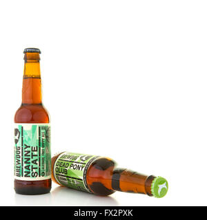 BrewDog Nanny State und tot Ponyclub Flaschenbiere auf weißem Hintergrund mit Textfreiraum Stockfoto