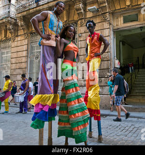 Quadrat Portrait von stelzenläufer posieren für ein Foto in Havanna, Kuba. Stockfoto