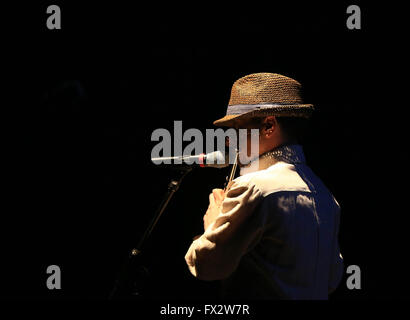 (160410)--TORONTO (Kanada), 10. April 2016 (Xinhua)--Musiker Jef Kearns führt während der kanadischen und der chinesischen Indie-Musik-Konzert: A World Away in Toronto, Kanada, am 9. April 2016. (Xinhua/Zou Zheng) Stockfoto