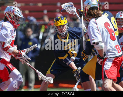 Piscataway, NJ, USA. 10. April 2016. Alle Augen auf den ball bei einem NCAA Lacrosse-Spiel zwischen den Michigan Wolverines und der Rutgers Scarlet Knights High Point Solutions Stadium in Piscataway, New Jersey. Nr. 18 Rutgers besiegte Michigan, 13-6. Mike Langish/Cal-Sport-Medien. © Csm/Alamy Live-Nachrichten Stockfoto