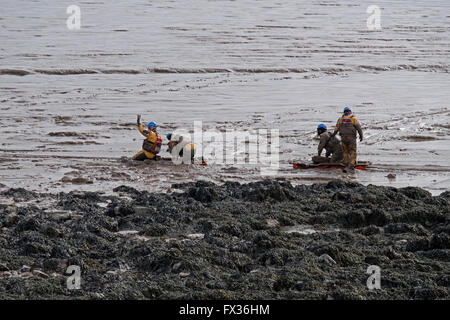 Regensburg, UK. 10. April 2016. Eine Küstenwache rescue Team Praxis Schlamm Rettungstechniken am Strand von Weston-super-Mare. Weston-super-Mare ist auf den Bristolkanal, die zweit-höchsten Tidenhub der Welt hat, und die Rettungsdiensten müssen ständig auf die Gefahren durch den weichen Schlamm, der bei Ebbe ausgesetzt ist vorbereitet sein. Bildnachweis: Keith Ramsey/Alamy Live-Nachrichten Stockfoto