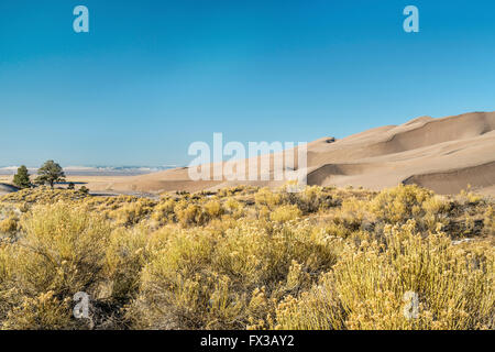 Wintermorgen am Great Sand Dunes National Park in Colorado zu beruhigen Stockfoto