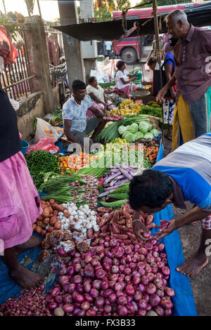 Obst und Gemüse zum Verkauf auf dem Markt in Negombo, in der Nähe von Colombo, Sri Lanka Stockfoto