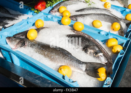 Frischer Fisch mit Zitronen im Restaurant Port Olimpic Marina, Port Olympic, Barcelona, Katalonien, Spanien, Europa. Stockfoto