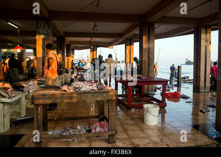 Fischhändler Filetieren, frischem Fisch, Hafen, Lagune von Negombo, Negombo, Sri Lanka, Indischer Ozean, Asien Stockfoto
