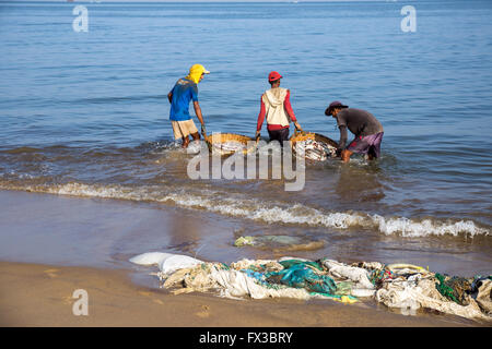 Negombo Fischmarkt (Lellama Fischmarkt), Fisch, Reinigung, Negombo, Westküste von Sri Lanka, Asien Stockfoto