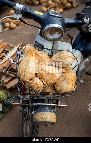 Motorrad Wit Kokosnüsse für Verkauf, Colombo, Sri Lanka, Asien Stockfoto