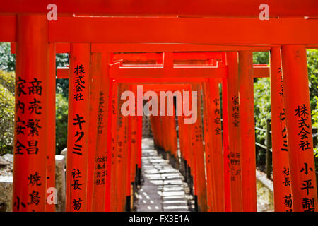 Torii im Nezu Tempel Stockfoto