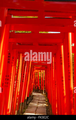 Torii im Nezu Tempel Stockfoto