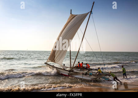 Blick auf traditionelle Fischerei Auslegerboot (Oruva) mit Segel am Strand von Negombo, Sri Lanka Stockfoto