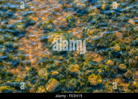 Unten auf den Steinen aus Schlick und Sand unter einer dünnen Schicht von der Oberfläche des Wassers in den Hintergrund. Stockfoto