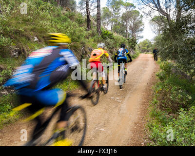 Mountain-Bike. Radfahrer über einen Waldweg an der Sierra de Mijas Forest. Provinz Malaga Costa Del Sol, Andalusien, Spanien-Europa Stockfoto