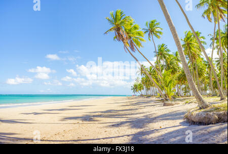 Carneiros Strand befindet sich in Pernambuco, Brasilien. Es liegt an einem ehemaligen Kokosnuss-Farm. Stockfoto