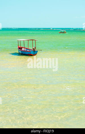 Carneiros Strand befindet sich in Pernambuco, Brasilien. Es liegt an einem ehemaligen Kokosnuss-Farm. Stockfoto