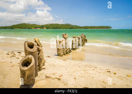 Carneiros Strand befindet sich in Pernambuco, Brasilien. Es liegt an einem ehemaligen Kokosnuss-Farm. Stockfoto