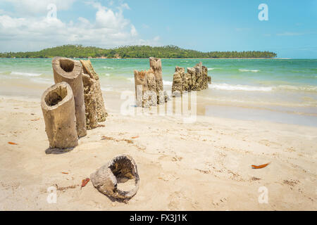 Carneiros Strand befindet sich in Pernambuco, Brasilien. Es liegt an einem ehemaligen Kokosnuss-Farm. Stockfoto