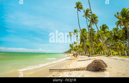 Carneiros Strand befindet sich in Pernambuco, Brasilien. Es liegt an einem ehemaligen Kokosnuss-Farm. Stockfoto