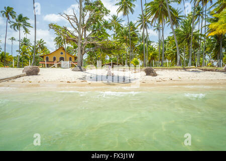 Carneiros Strand befindet sich in Pernambuco, Brasilien. Es liegt an einem ehemaligen Kokosnuss-Farm. Stockfoto