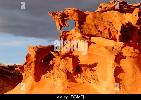 Eine schöne orange Sonnenuntergang auf einer erodierten Sandsteinformation ähnelt einem Pferd "Head bei Little Finnland in der Nähe von Mesquite, Nevada Stockfoto