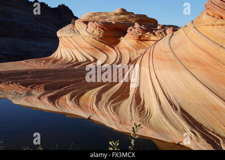 Wunderschöne Sandsteinformation, bekannt als Wave2 in den Coyote Buttes North in Vermillion Cliffs Wilderness zwischen Seite & Kanab Stockfoto