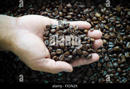 geröstete Kaffeebohnen in der hand Stockfoto