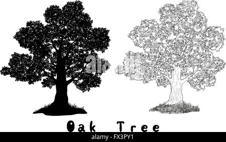 Eiche Baum Silhouette, Konturen und Inschriften Stock Vektor