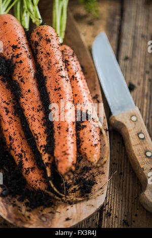 Draufsicht, Bauernhof frischen Karotten Sttaight aus Gartenerde. Stockfoto